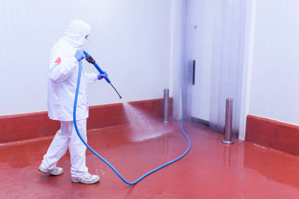 Boat and Dock Cleaning in Roslyn Heights, NY